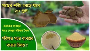 Use Mustard Cake Liquid Fertilizer